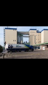 CezE1K4W8AATUk-